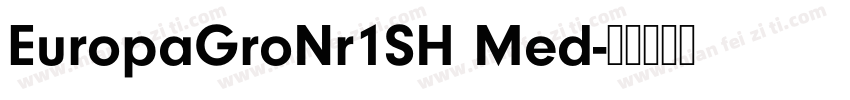 EuropaGroNr1SH Med字体转换